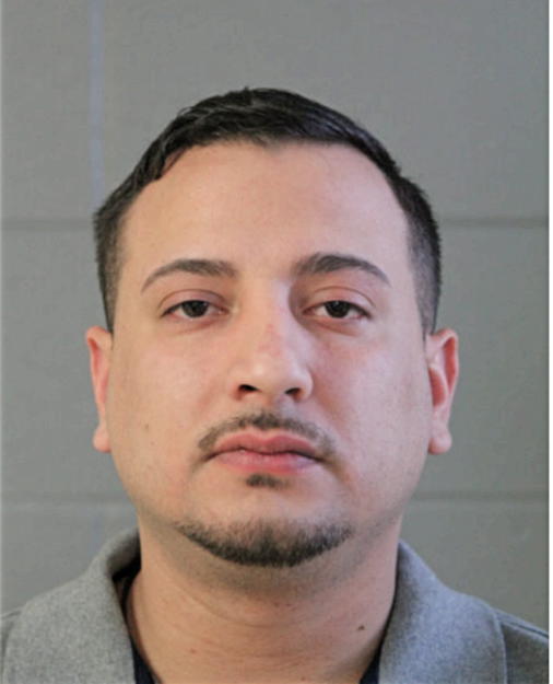 FELIPE ULLOA, Cook County, Illinois