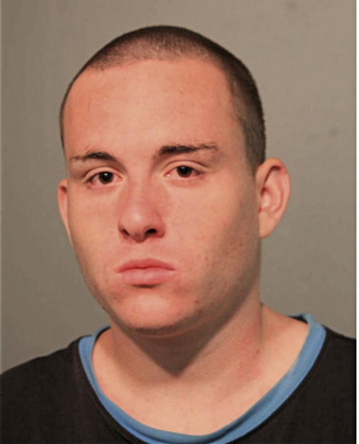 PETER C WILLIAMS, Cook County, Illinois