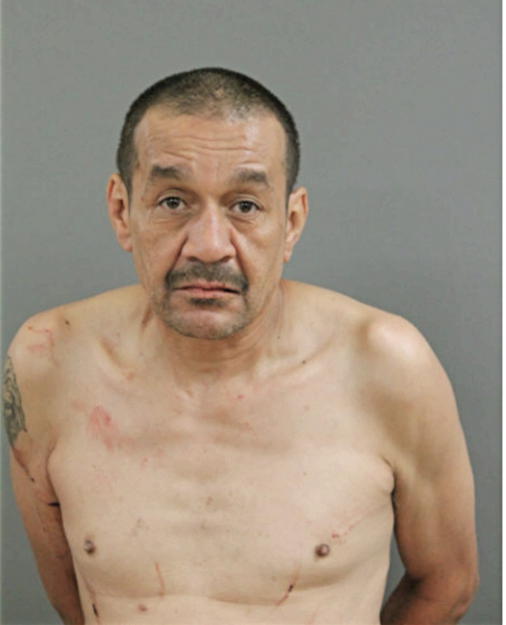 LUIS A MENENDEZ, Cook County, Illinois