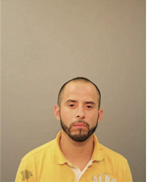 ANGEL D ARRIAGA, Cook County, Illinois
