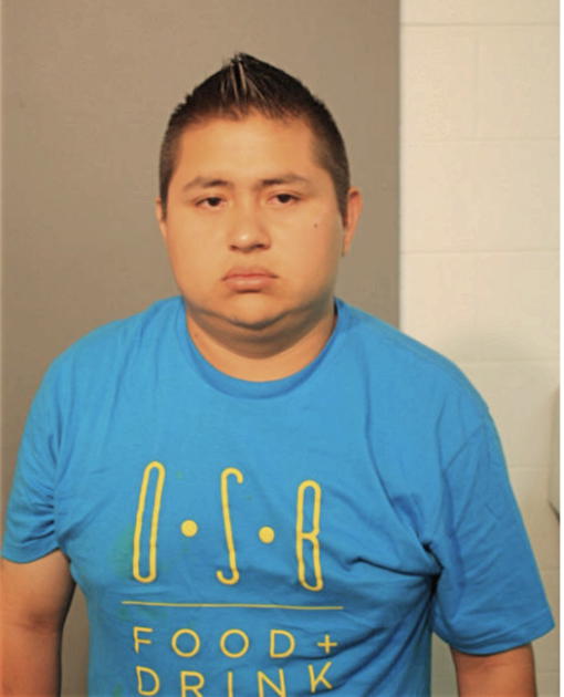 HUMBERTO A. BORBOA-DE PAZ, Cook County, Illinois