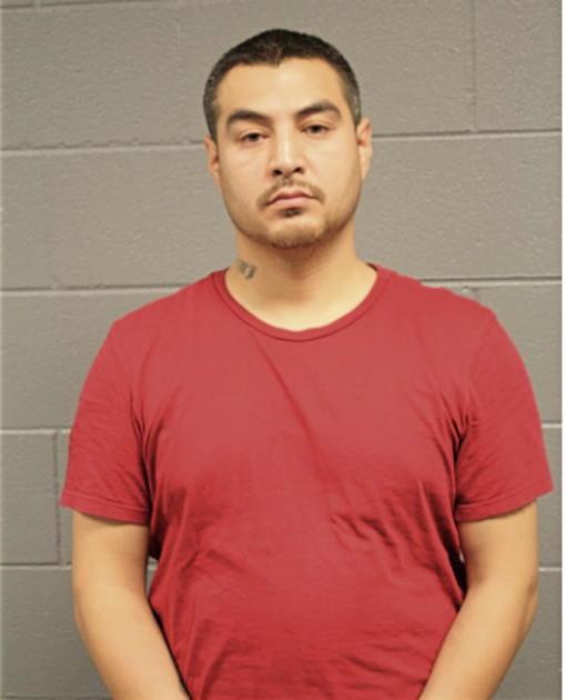 CESAR A BRAVO, Cook County, Illinois