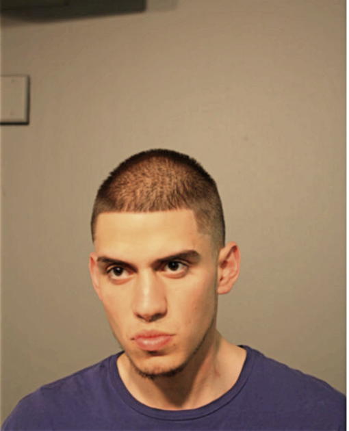 DANIEL A BREEDY, Cook County, Illinois