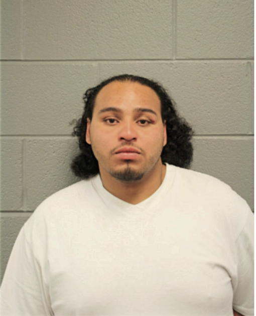 LANCE D BROWN, Cook County, Illinois
