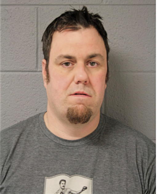 MICHAEL J BURNS, Cook County, Illinois