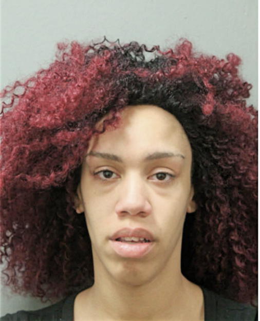 DARIANNE L FOWLER, Cook County, Illinois