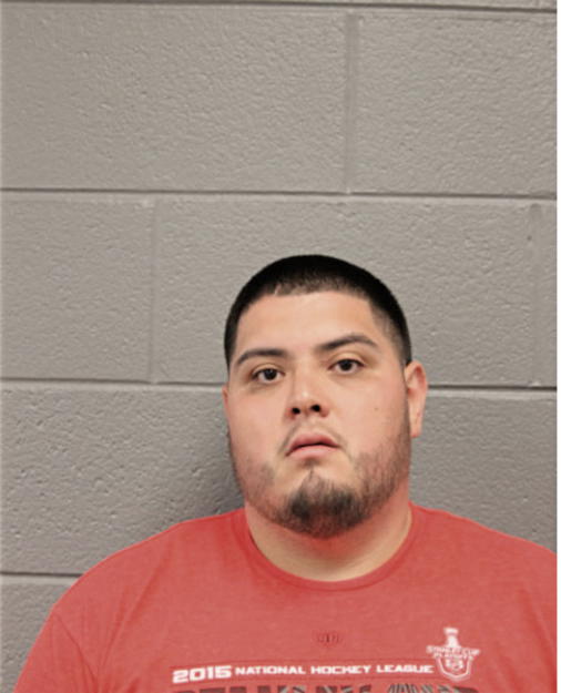 JUAN C GARCIA, Cook County, Illinois