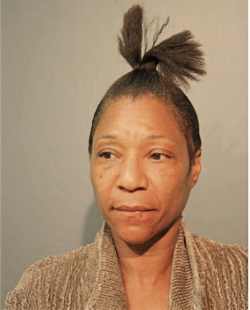 NANCY L GIPSON, Cook County, Illinois