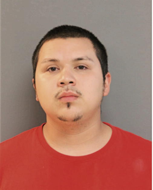 JOSE P GONZALEZ, Cook County, Illinois