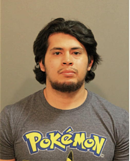 ROBERTO GONZALEZ, Cook County, Illinois