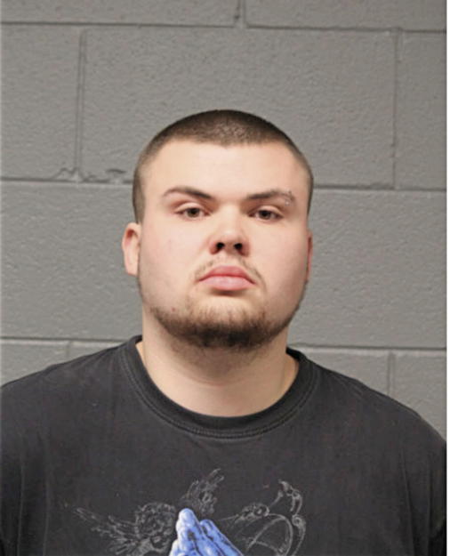 ANTHONY J GOODMAN, Cook County, Illinois