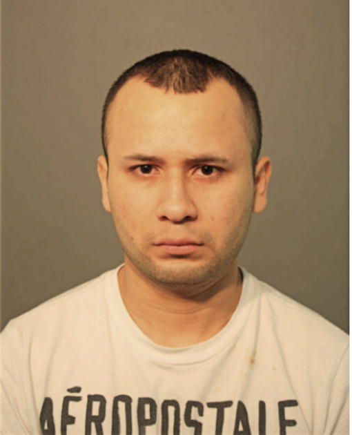 ERIC ALONSO HUERTA-MADERO, Cook County, Illinois
