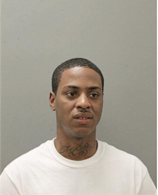 JERMAINE J JOHNSON, Cook County, Illinois