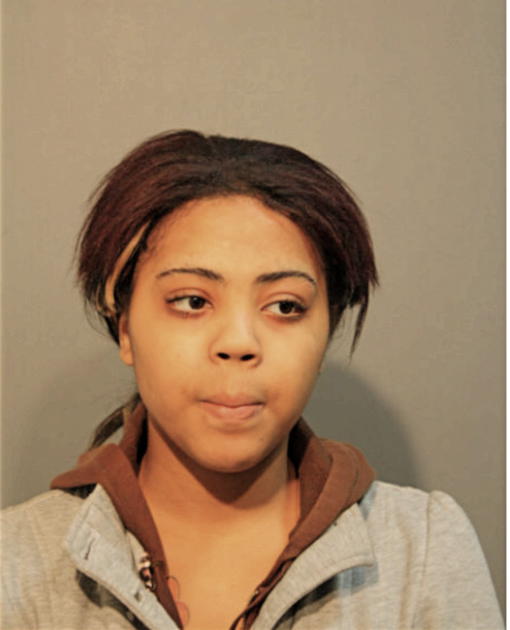 BRIONNA A LEE, Cook County, Illinois