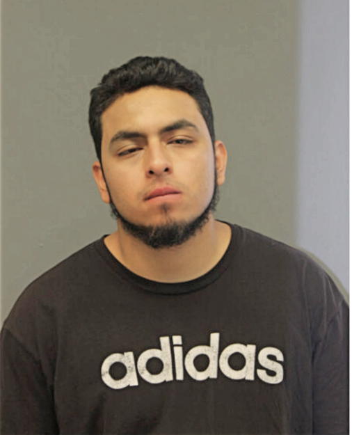 CARLOS K LUNA, Cook County, Illinois