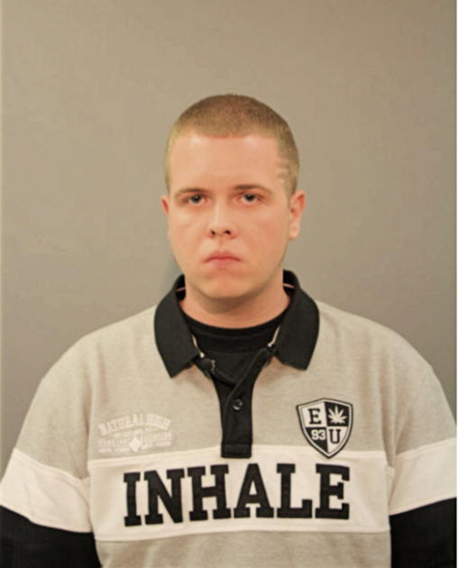 DAVID D MCDOW, Cook County, Illinois