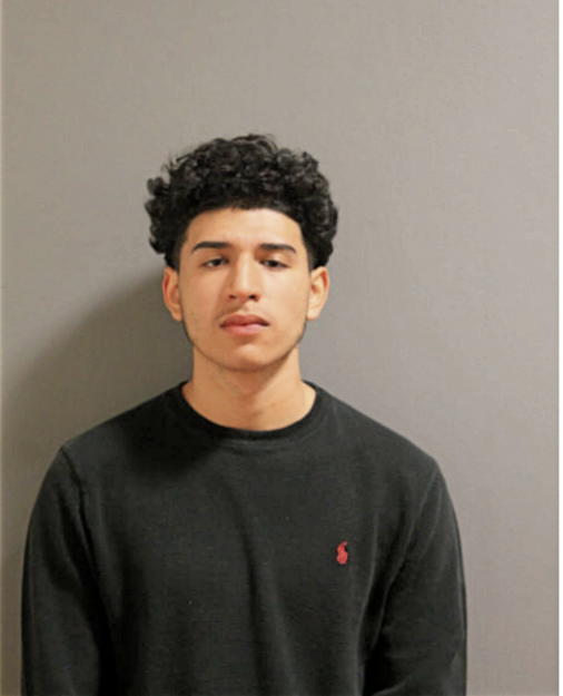 HENRY J MORENO, Cook County, Illinois