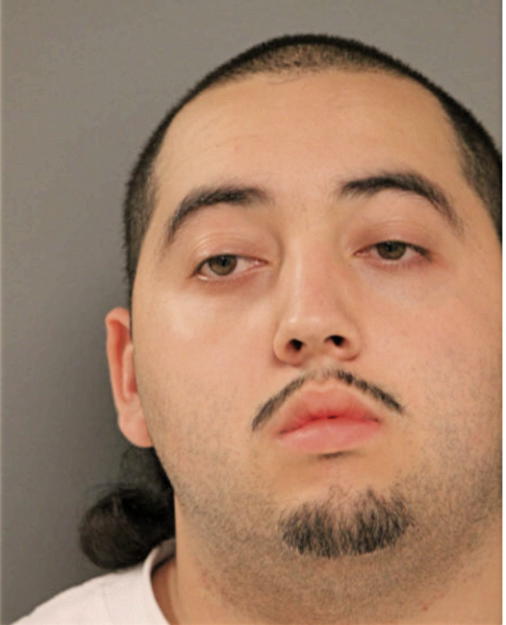 DARRELL W MULLINS, Cook County, Illinois