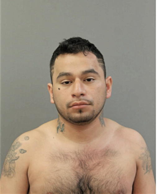 SAUL I OCAMPO, Cook County, Illinois