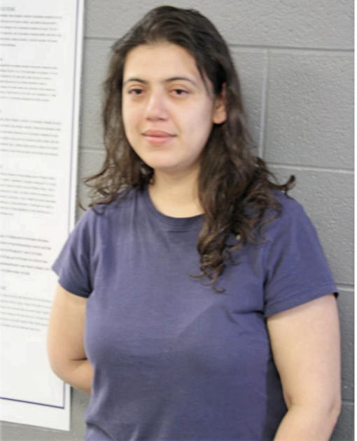 ROSA ORTIZ, Cook County, Illinois