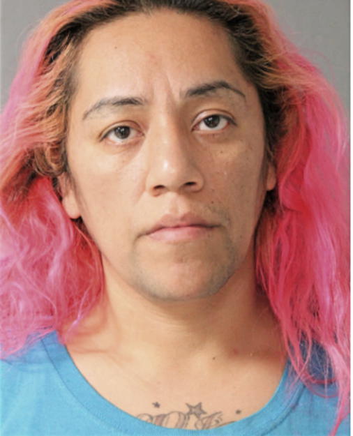 VERONICA REYNA, Cook County, Illinois