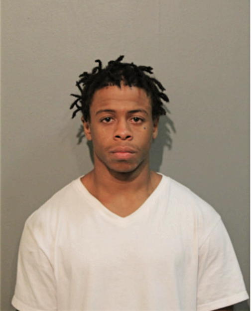 COREY L RICE, Cook County, Illinois