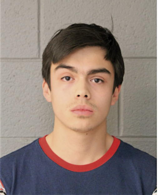 MICHAEL SALDIVAR, Cook County, Illinois