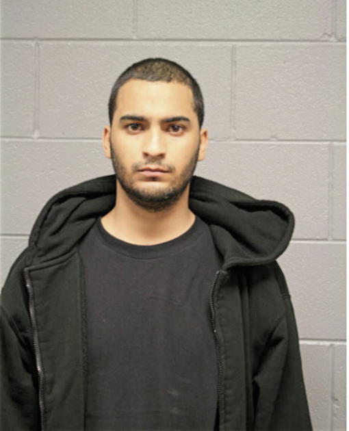 LUIS A SANCHEZ, Cook County, Illinois