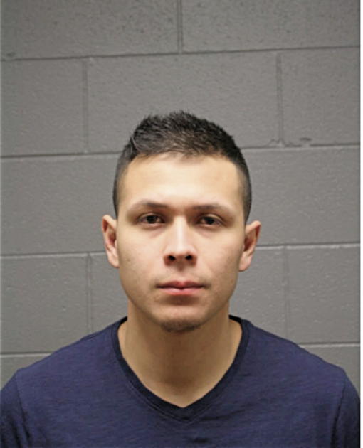 NOE DEJESUS SOLIS, Cook County, Illinois
