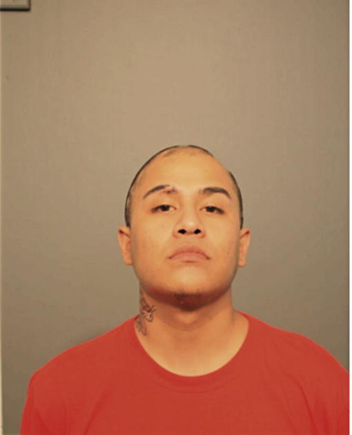 OMAR SOTO, Cook County, Illinois