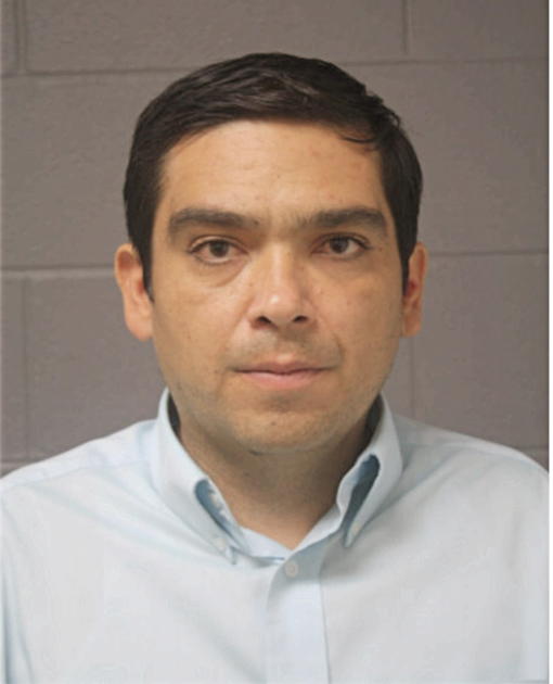 ANTHONY E SZAFARCZYK, Cook County, Illinois