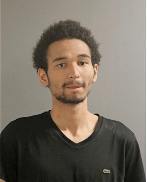 YVES D WATSON, Cook County, Illinois