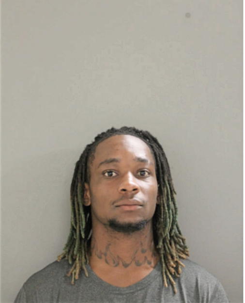 HOWARD E WILLIAMS, Cook County, Illinois