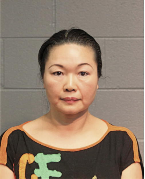 TSUI CHIN ZHANG, Cook County, Illinois