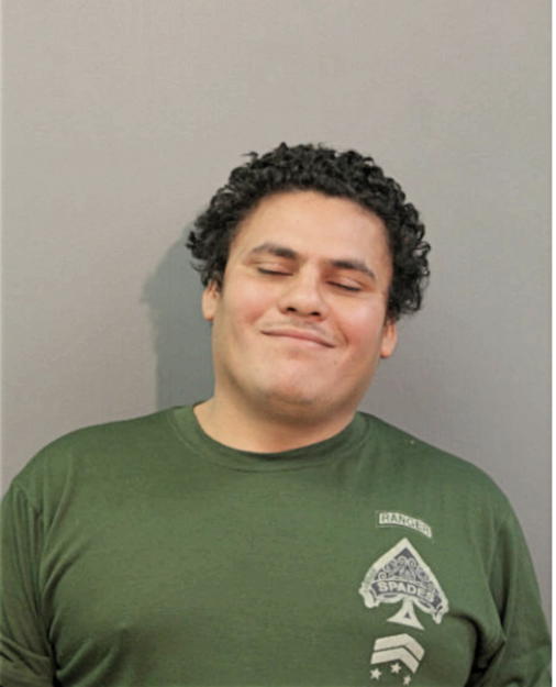 ELVIS ALEXANDER-LOPEZ, Cook County, Illinois