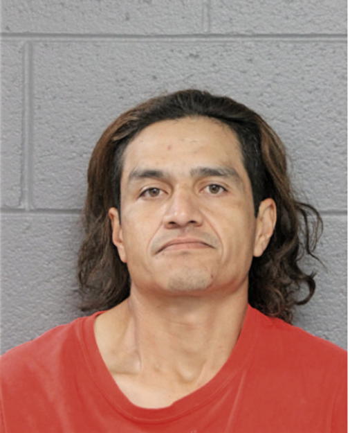 MIGUEL ARREAGA, Cook County, Illinois