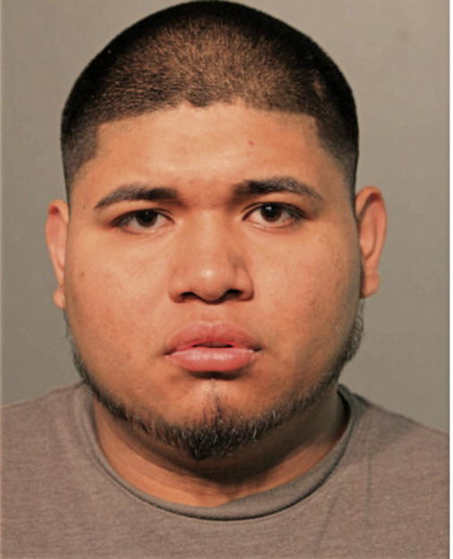 IRVING DANIEL AVILES, Cook County, Illinois