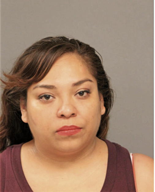 BRENDA J DAMIAN, Cook County, Illinois
