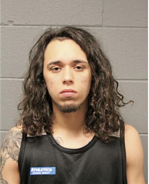 MIGUEL FERNANDEZ, Cook County, Illinois