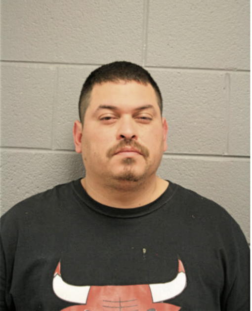 DAVID J GARCIA, Cook County, Illinois