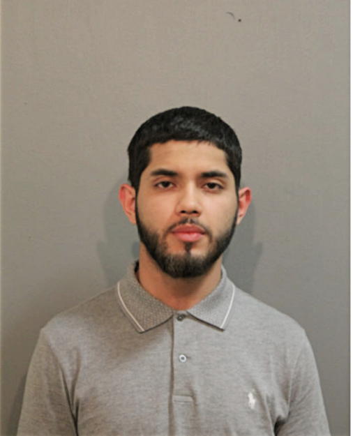 JUAN D GARCIA, Cook County, Illinois