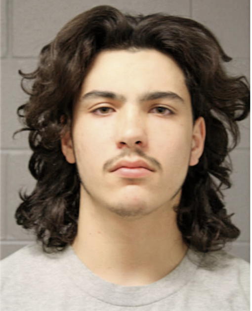 CARLOS G GONZALEZ, Cook County, Illinois