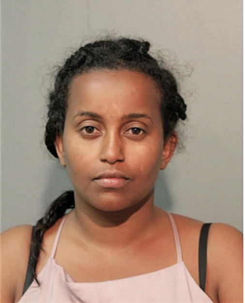 MERKEB N HAILU, Cook County, Illinois