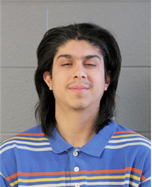 LUIS ALBERTO JIMENEZ, Cook County, Illinois