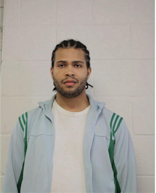 JUSTIN A JOHNSON, Cook County, Illinois