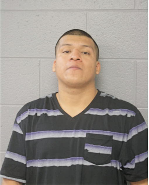 AMANDO LARA, Cook County, Illinois