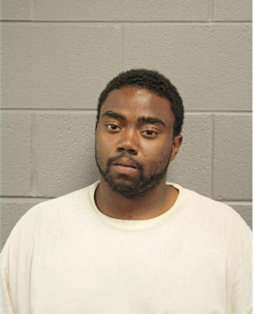 JOHNNY E LOGGINS, Cook County, Illinois