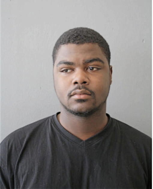 ROBERT E MCDOWELL, Cook County, Illinois