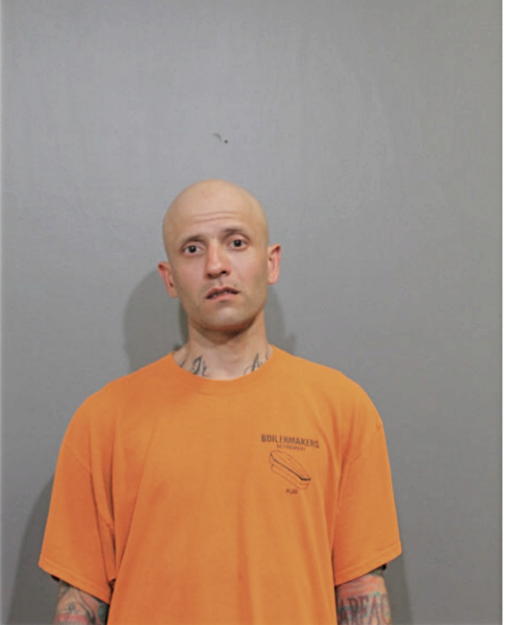 DAVID M NATAL, Cook County, Illinois