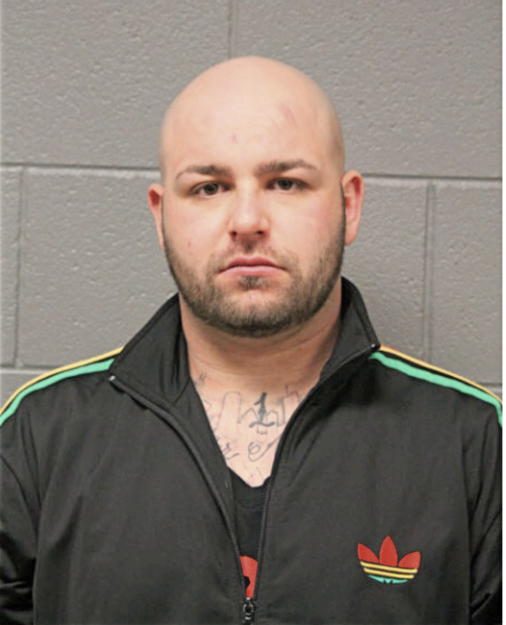 JEREMY JAMES NELSON, Cook County, Illinois